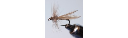 SEDGE STANDARD