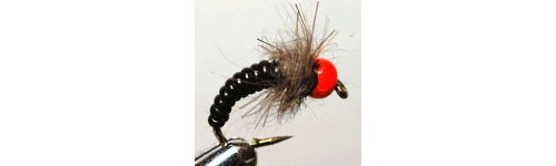 NYMPHE THYMALLUS CASQUEE TUNGSTENE