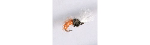 CDC BUZZER
