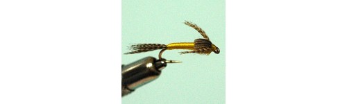 NYMPHE