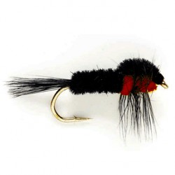 MONTANA RED