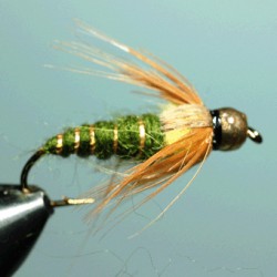 CASQ TUNG GOLD RAM 7