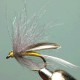 CDC LA MOUCHE D'ORNANS