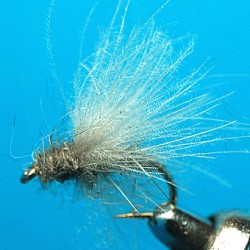 CDC MIDGE ADULT GREY