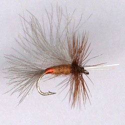 CDC RED SEDGE
