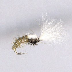 CDC BUZZER OLIVE