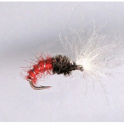 CDC BUZZER RED
