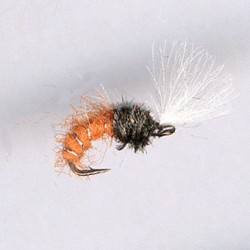 CDC BUZZER ORANGE