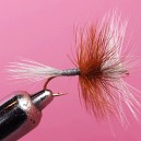 LA BOURNE BICOLOR LONGUE TIGE