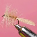 PALMER PALE