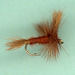 BROWN WULFF