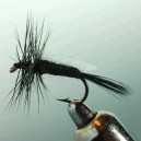 MIDGE DARK