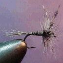 MOSQUITO