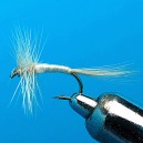 MIDGE CREAM