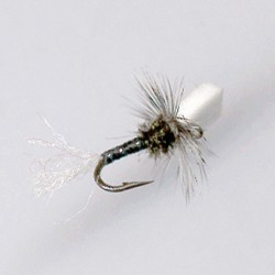 CHIRO RAM 91