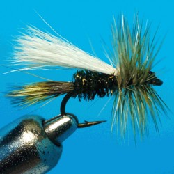 TRUDE PEACOCK