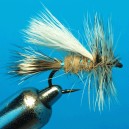 TRUDE HARES EAR
