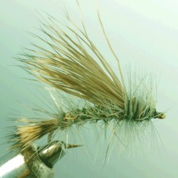 STIMULATOR OLIVE