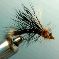 STIMULATOR  BLACK