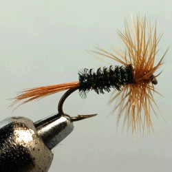FLY RAM 4