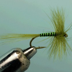 FLY RAM 21