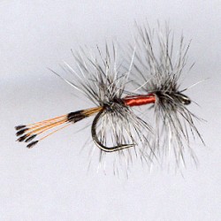 FLY RAM 30
