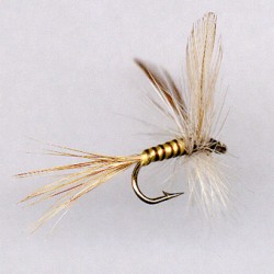 FLY RAM 39