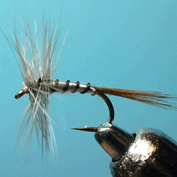 FLY RAM 112