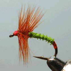 FLY RAM 116
