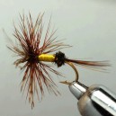 PANAMA MALE