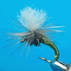 PARACHUTE RAM 10