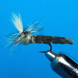 PARACHUTE CADDIS