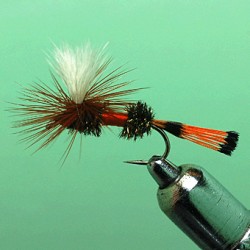  PARACHUTE COACHMAN ROYAL