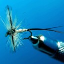 SPENT MAYFLY