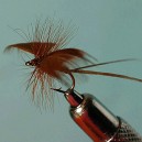 BROWN SPINNER