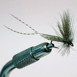 MAYFLY RAM 7