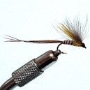EMERGENTE MAYFLY RAM 3