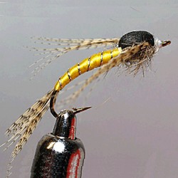 EMERGENTE MAYFLY RAM 8