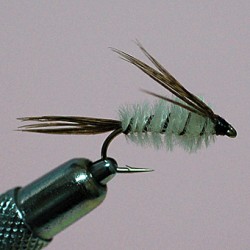 NYMPHE MAYFLY RAM 2