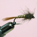 NYMPHE MAYFLY RAM 3