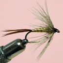 NYMPHE MAYFLY RAM 4