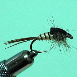 NYMPHE MAYFLY RAM 5