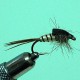 NYMPHE MAYFLY RAM 5
