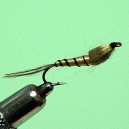 NYMPHE MAYFLY RAM 6