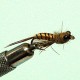 NYMPHE MAYFLY RAM 8