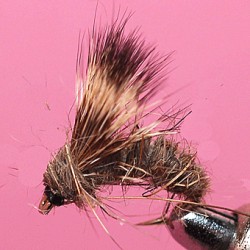 EMERGER RAM 3