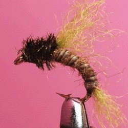 EMERGER RAM 4