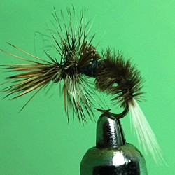 EMERGER RAM 13