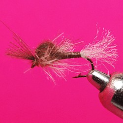 EMERGER RAM 21