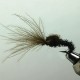 EMERGER RAM 29